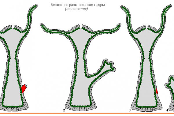 Какая комиссия кракен маркетплейс