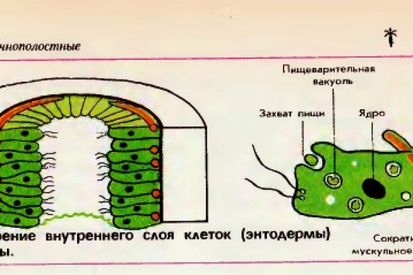 Кракен ссылка работает